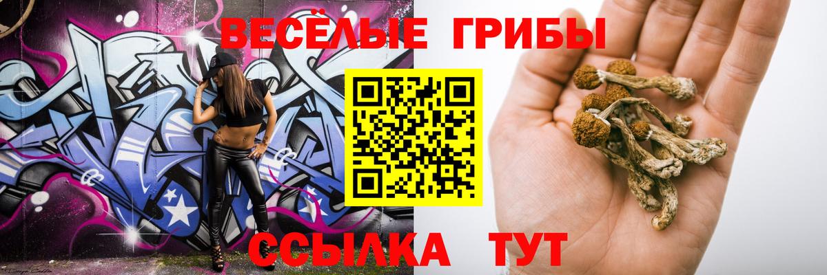 Лабинск  Псилоцибиновые грибы MAGIC MUSHROOMS  Вход с VPN 